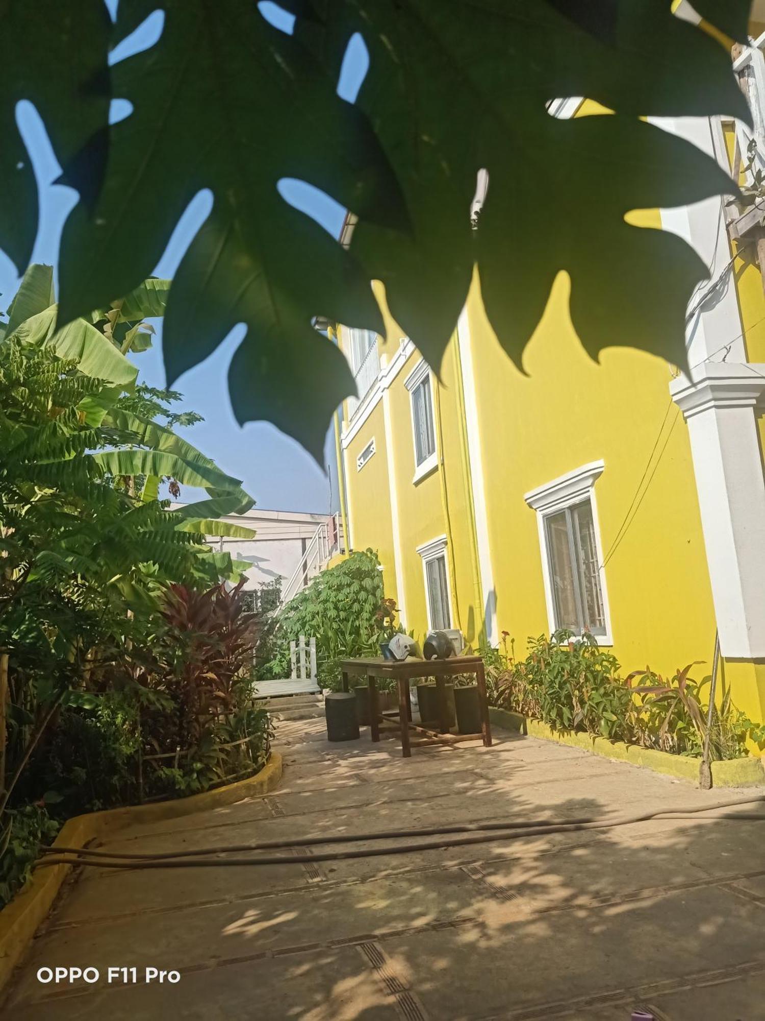 Homestay Yellow Natural House Siem Reap Dış mekan fotoğraf
