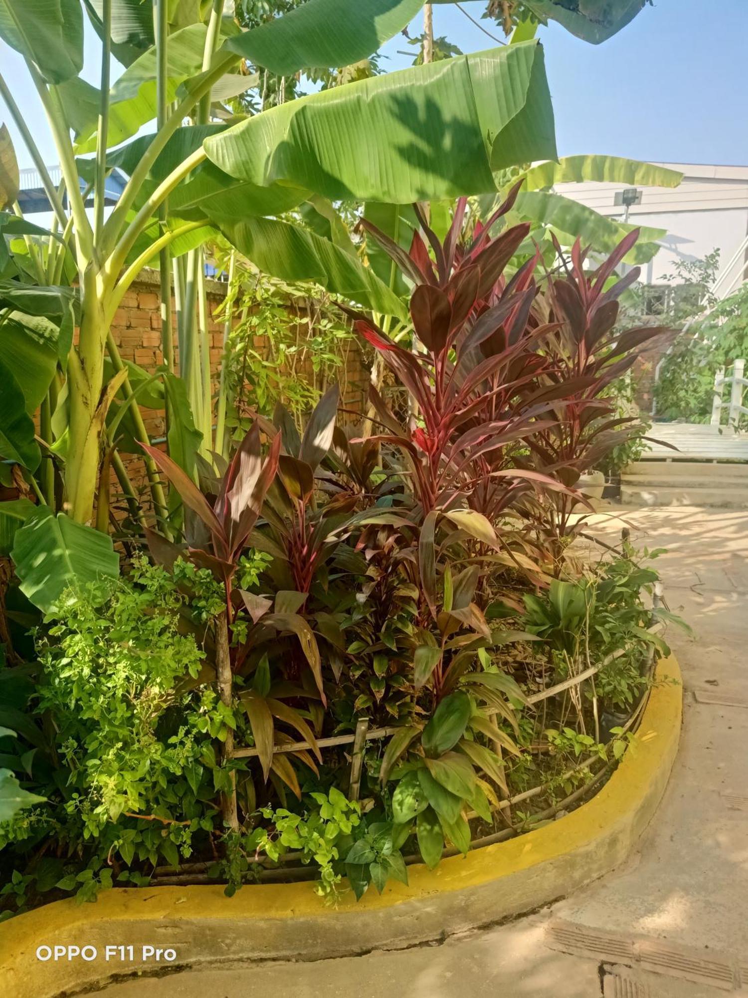 Homestay Yellow Natural House Siem Reap Dış mekan fotoğraf