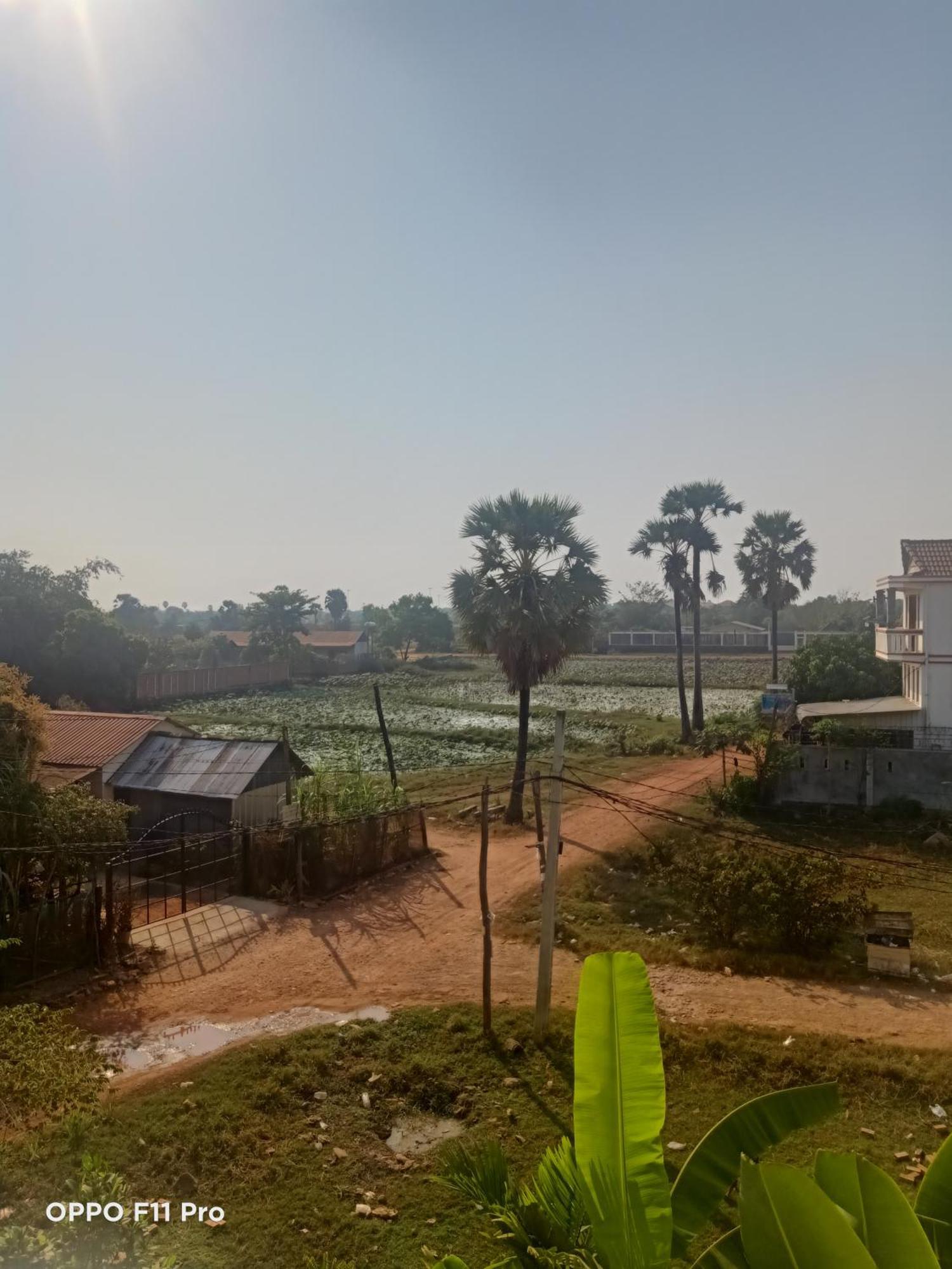 Homestay Yellow Natural House Siem Reap Dış mekan fotoğraf
