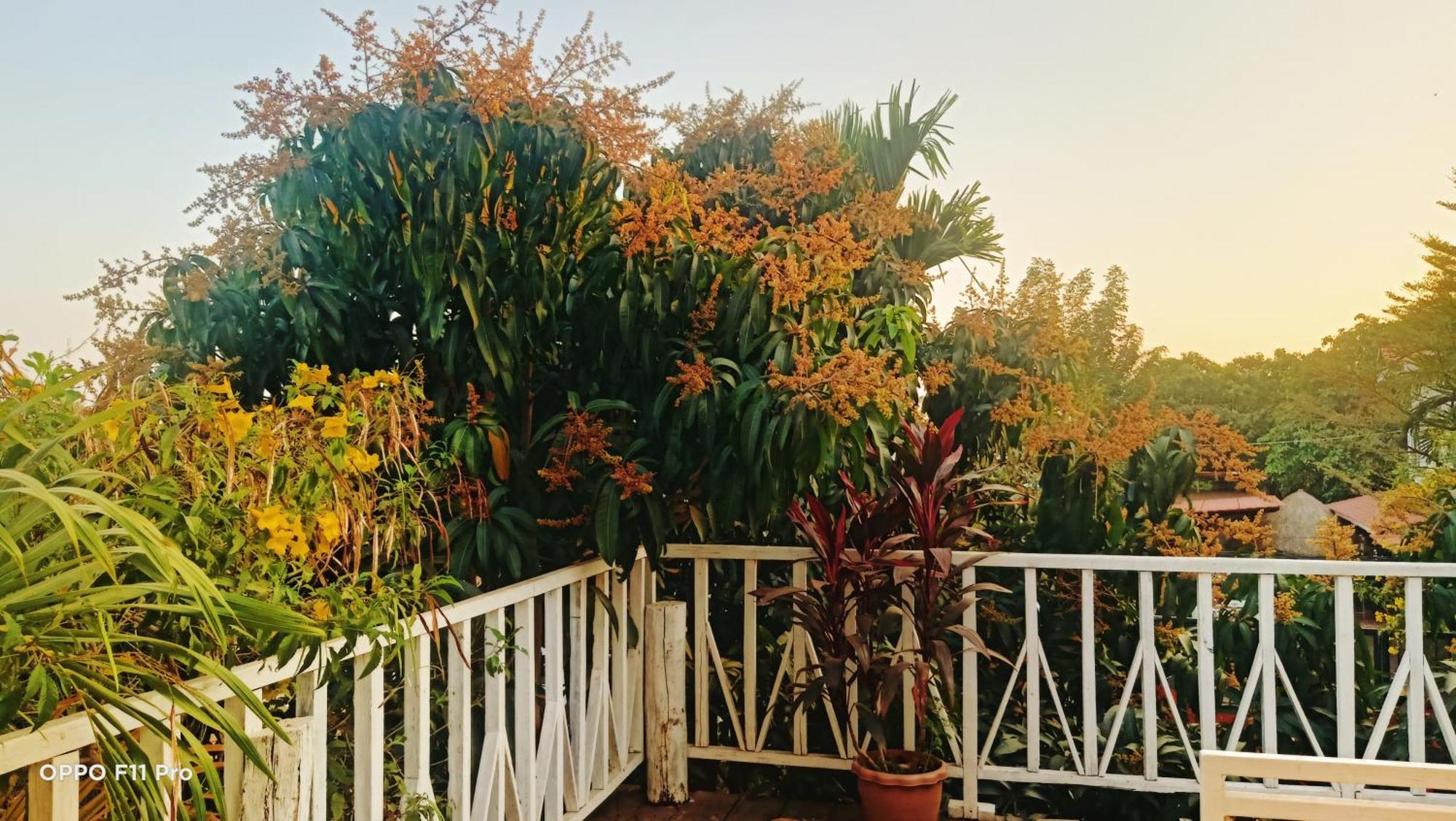 Homestay Yellow Natural House Siem Reap Dış mekan fotoğraf