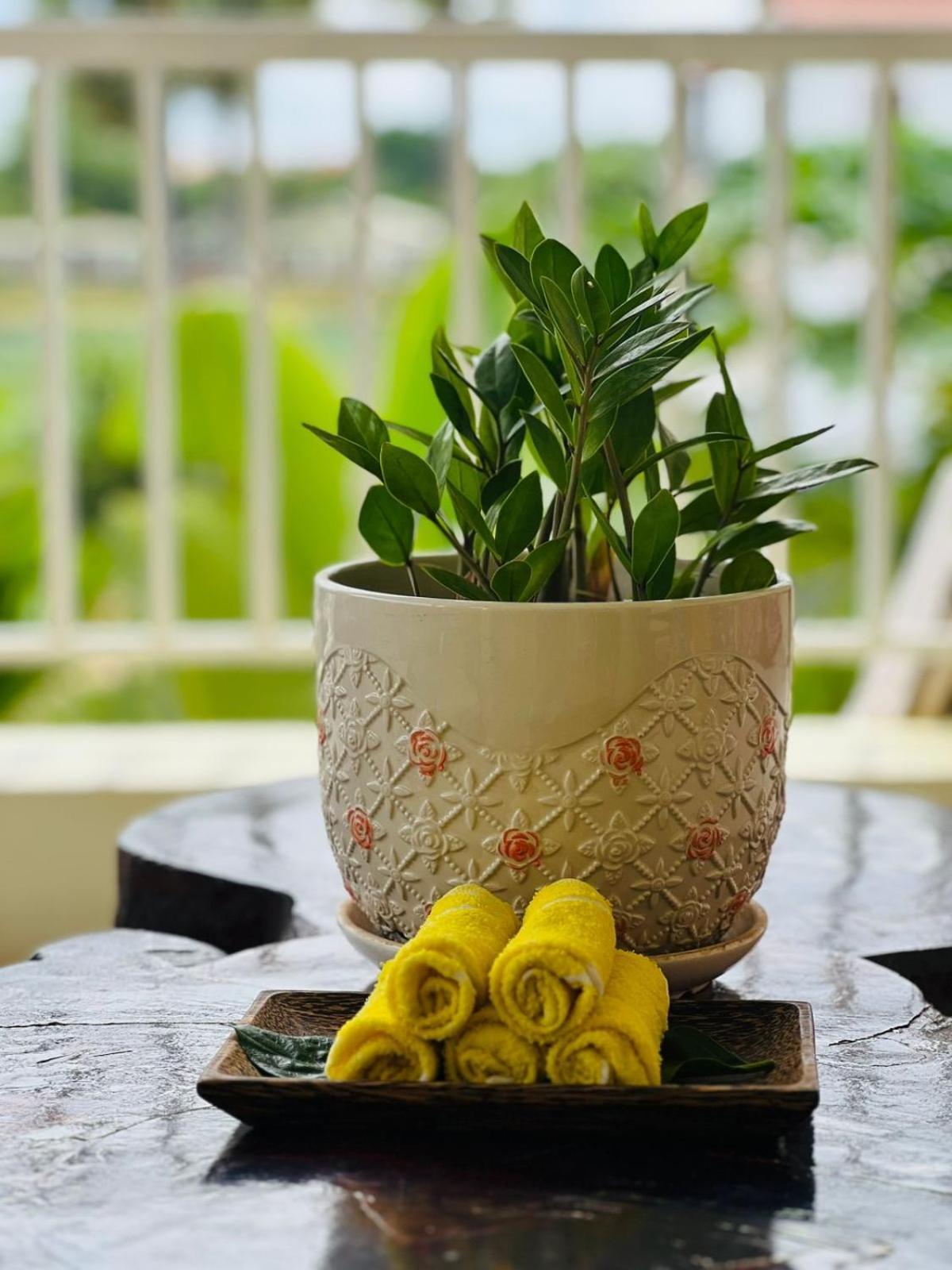 Homestay Yellow Natural House Siem Reap Dış mekan fotoğraf